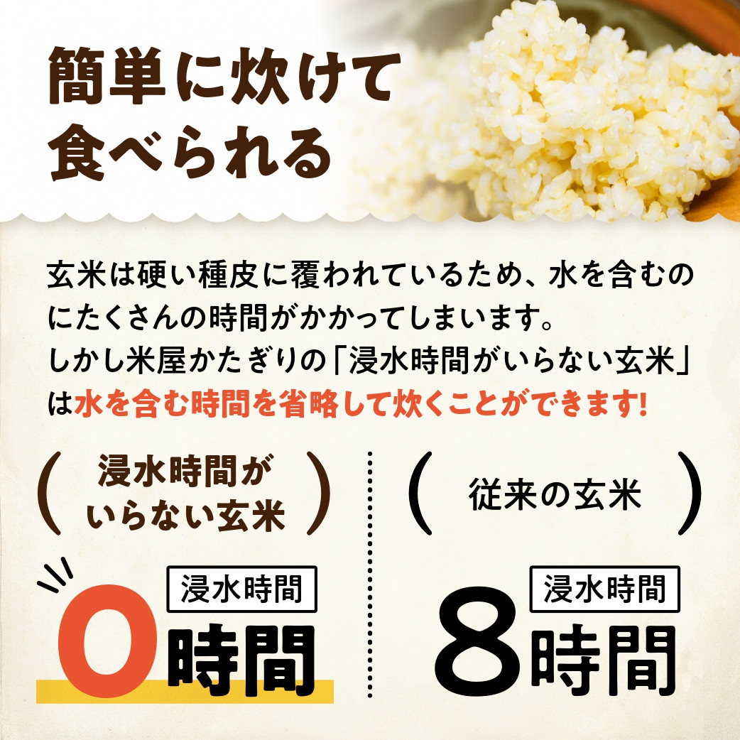 
            【令和7年産新米】「米屋のこだわり阿賀野市産」浸水時間がいらない玄米２kg 1E11010
          