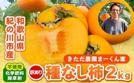 
            【訳あり】まーくん家のたねなし柿 2kg 《2025年9月下旬-10月末頃出荷》 かき 種なし きただ農園まーくん家 和歌山県 紀の川市 ご家庭用
          