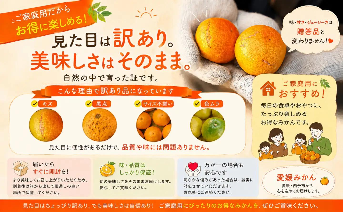 ＜訳あり 愛媛県産八朔 合計約10kg＞『2027年2月上旬～3月下旬迄に順次出荷予定』ご家庭用 爽やか 果汁 果物 はっさく くだもの フルーツ みかん オレンジ 柑橘 人気柑橘 特産品 株式会社O