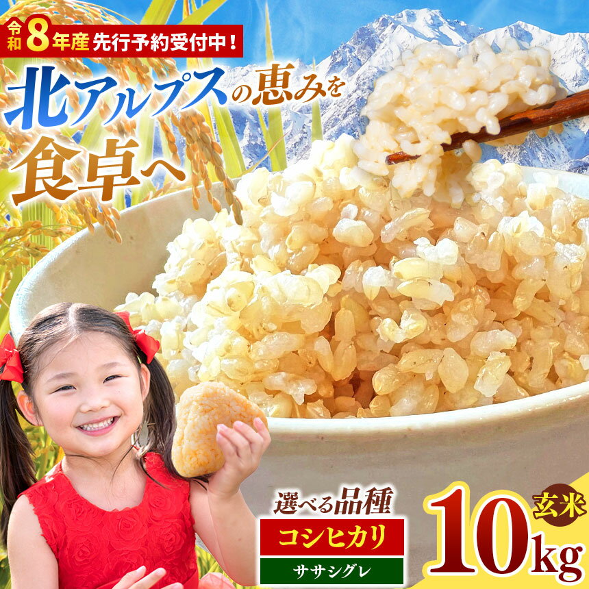 【ふるさと納税】玄米 約10kg 選べる収穫年度 ・ 品種（令和7年産 / 令和8年産）・（コシヒカリ / ササシグレ） | ニチカ農園 米 こめ コメ お米 玄米 コシヒカリ ササシグレ ライス 長野県 松川村 信州