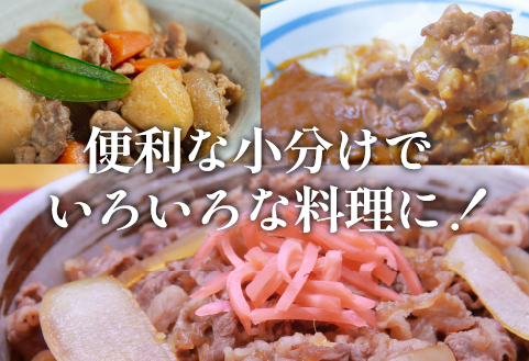 【特別限定受付品】A4等級以上 宮崎牛 切り落とし 小間切れ 小分け6パック 計2.52㎏（国産 肉 お肉 牛肉 宮崎県産 訳あり 生活応援 切り落とし 小分け 内閣総理大臣賞)