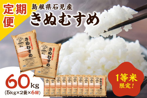 【令和6年産】石見産きぬむすめ60kg（10kg×6回コース）【定期便】お取り寄せ 特産 お米 精米 白米 ごはん ご飯 コメ 一等米 応援 準備 【238】