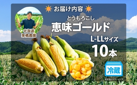 北海道 朝もぎ とうもろこし 恵味 ゴールド L-LLサイズ 10本 スイート コーン トウモロコシ とうきび 旬 完熟 野菜 採れたて 朝採り 甘い めぐみ 産地直送 道産 栗橋農園 送料無料