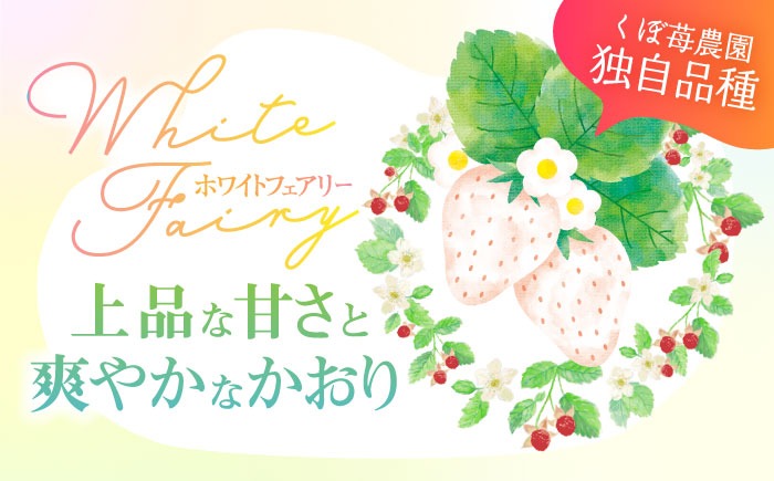 朝摘み 愛知県産 いちご 4品種食べ比べ 約200g×計4パック 苺 完熟 ギフト 愛西市 / くぼ苺農園[AECJ007]