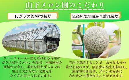 静岡温室メロン  M玉約1.4kg×2玉　最高級のマスクメロン　山下メロン園 高級果実店に仕入るほどの自信のあるメロン  ギフト  メロン めろん 箱詰め フルーツ 果物  産地直送 甘いメロン 糖度
