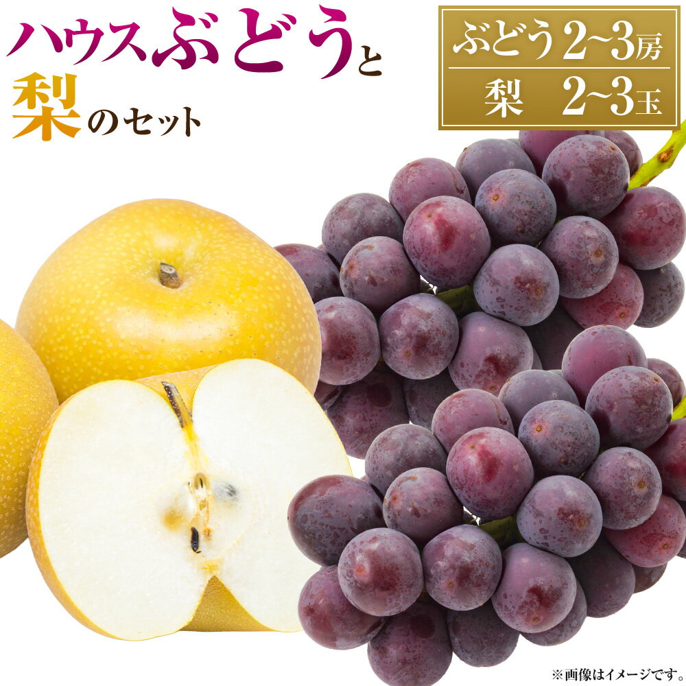 【ふるさと納税】【先行予約】種あり ハウスぶどう （2～3房） 梨 （2～3玉） セット 【2026年8月下旬より順次発送予定】【春光園】 有機配合肥料使用 ぶどう ブドウ 葡萄 巨峰 梨 なし 果物 フルーツ 詰め合わせ 冷蔵 送料無料 福岡県 うきは市