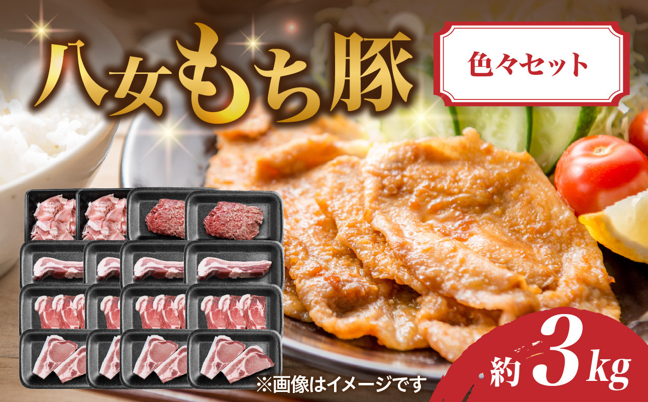 
            八女もち豚色々セット 計約3キロ 豚肉 肩ロース ロース 切落し ミンチ
          