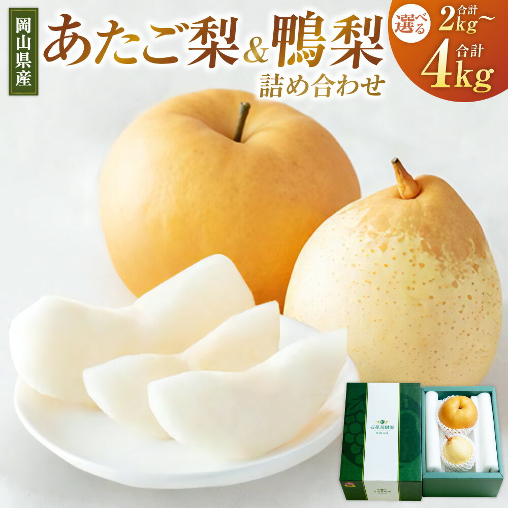 【ふるさと納税】あたご梨・鴨梨（ヤーリー）詰合せ セット 〈選べる〉 合計 約2kg（贈答箱）または 合計約4kg（化粧箱） 愛宕梨 なし ナシ フルーツ くだもの 果物 果実 岡山県産 岡山県 美咲町 送料無料 【2025年11月下旬～12月下旬発送予定】
