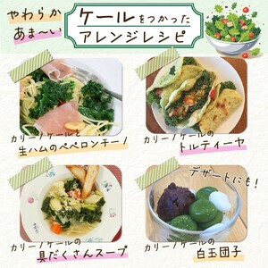 県内一の寒暖差が生んだ、やわらか甘い山麓ケール
