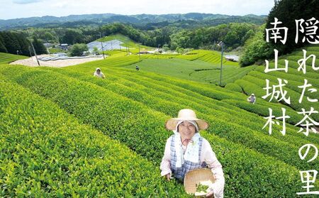 【宇治抹茶スイーツ】抹茶の味がしっかりと味わえる　むらちゃアイス抹茶6個セット