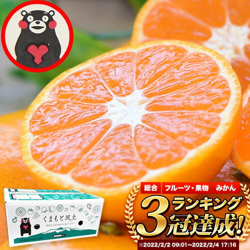 【ふるさと納税】みかん 訳あり 大玉 大粒 ミカン 3kg 6kg 9kg 熊本 ちょっと 訳あり 傷 5L〜3Lサイズ 約6kg たっぷり 熊本県産(荒尾市産含む) 熊本県 期間限定 フルーツ 旬 柑橘 ご家庭用 荒尾市 大粒《2027年1月中旬-2月末頃出荷》果物