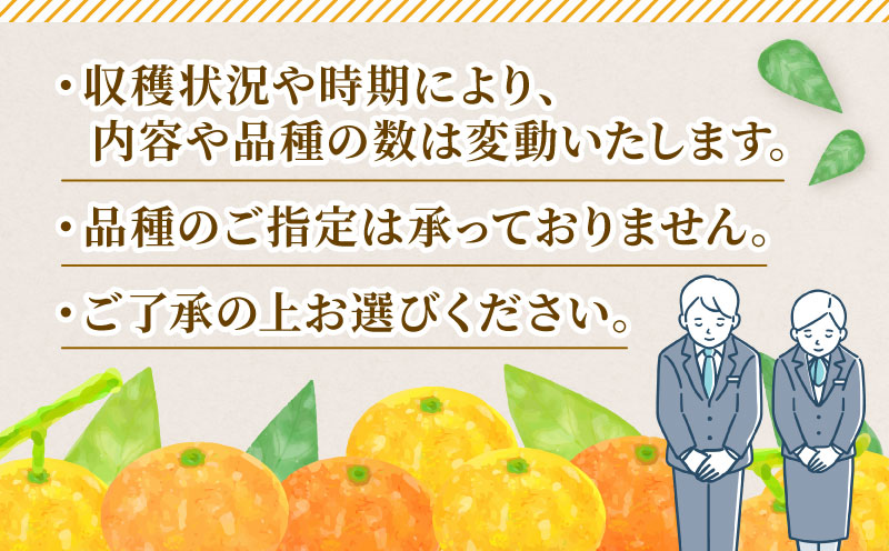 訳あり 季節 の みかん 詰合せ 約 4kg 矢野青果 フルーツ 詰め合わせ セット 柑橘 ミカン 蜜柑 mikan 果物 くだもの 愛媛みかん 愛媛蜜柑 濃厚みかん 産地直送 数量限定 国産 愛媛 