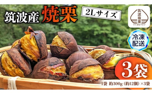 筑波産の焼栗 3袋 約300g×3 栗 くり 焼栗 おやつ スイーツ 茨城 和栗 果物 フルーツ 秋 茨城県産 [EK005sa]