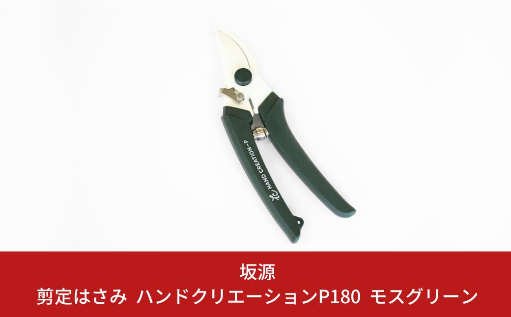 
剪定はさみ ハンドクリエーションP180 モスグリーン 花ハサミ 園芸ハサミ 生花用 園芸用品 ガーデニング用品 [坂源] 【010S387】
