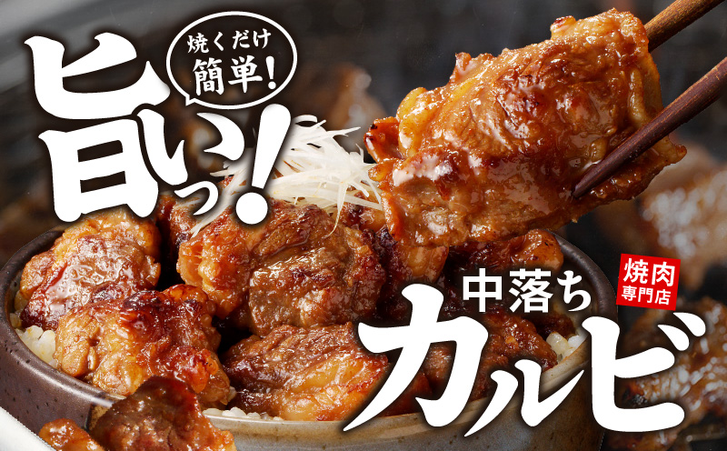 【スピード発送】焼き肉専門店 自家製タレ漬け 中落ちカルビ 合計500g（250g×2） G1599
