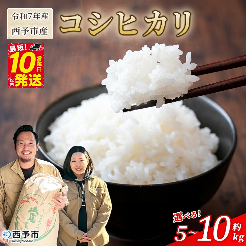 【ふるさと納税】＜令和7年産 西予市産 コシヒカリ 約5kg/10kg＞ 選べる 内容量 お米 米 コメ こめ 白米 精米 ご飯 穀物 こしひかり 5キロ 10キロ 特産品 愛媛県産 株式会社宇都宮米穀 愛媛県 西予市【常温】『最短10営業日以内に順次出荷予定』