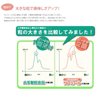 1230 岐阜県産小麦 100％小麦粉　国産薄力粉（特A）10kg