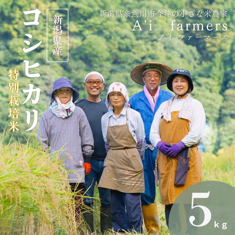 【ふるさと納税】コシヒカリ（BL）【令和7年産】 5kg 新潟県 糸魚川市産 減農薬 減化学肥料米 BL米 安心 安全 美味しいお米 新潟米 アイファーマーズ 精米 白米【こしひかり おにぎり お弁当 におすすめ お米 おこめ コメ ご飯 ライス ブランド米 令和7年産 2025年】