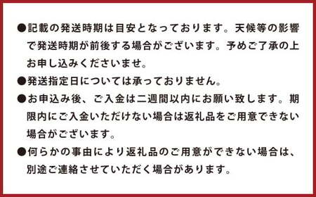 環境マイスターのレモン 訳あり 5kg（栽培期間中は無肥料・無農薬）【2024年12月上旬‐2025年4月下旬迄順次発送予定】