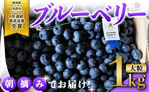 ブルーベリー大粒1kg 朝摘みでお届け！【4年連続最高金賞受賞 群馬県ブルーベリー品評会2021~2024年】 大粒 化学農薬不使用 除草剤不使用 フルーツ 果物 F4H-0039