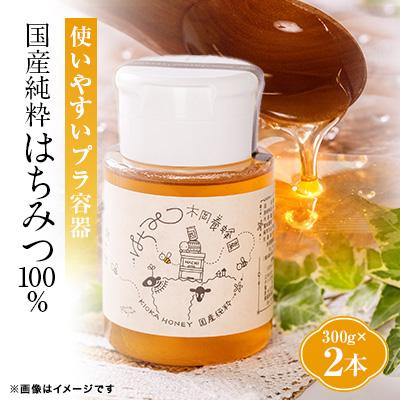 ふるさと納税 和泉市 道の駅で大人気のハチミツ(使い勝手の良いプラ容器300g×2本)