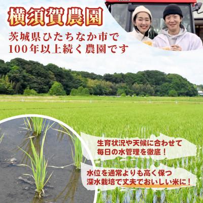 ふるさと納税 ひたちなか市 【先行予約・9月以降順次発送】令和7年　ひたちなか市産　ミルキークイーン(玄米)10kg×1袋 |  | 02