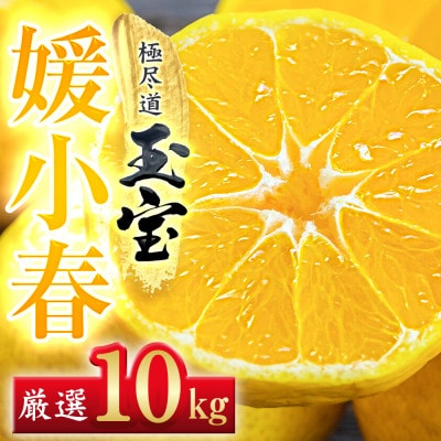 【愛媛名産】玉宝媛小春(ひめこはる)　10kg【H64−88】【1623971】