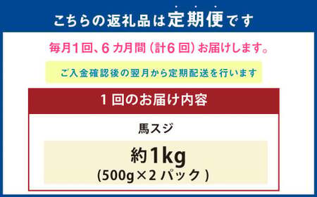 ＜ R8年熊本地震復興支援 ＞【6ヶ月定期便】 馬スジ 1kg （500g×2パック） 計6kg 馬肉 馬 お肉 肉 おかず 冷凍