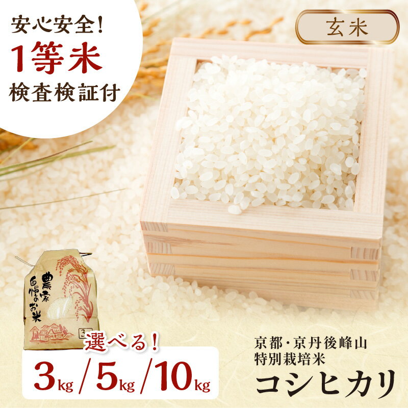 【ふるさと納税】米農家直送／先行予約（玄米）3kg～／高評価★5.0 高レビュー★ ／2025年産 京都・京丹後 峰山 特別栽培米コシヒカリ 3kg 5kg 10kg【玄米】 1等米 検査済証付 選べる お米 玄米 お弁当 特別栽培 一等米 ふるさと納税 玄米
