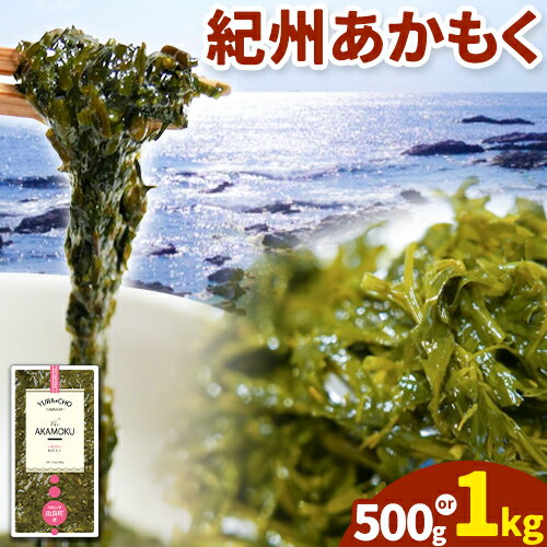 【ふるさと納税】紀州あかもく(由良町産) 選べる 内容量 500g(100g×5パック) 1kg(100g×10パック) 《30日以内に出荷予定(土日祝除く)》 和歌山県 日高川町 海藻 アカモク スマイル 味噌汁 惣菜