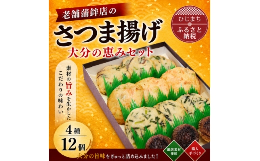 さつま揚げ(天ぷら) 大分の恵みセット 4種/12個入り【1258344】