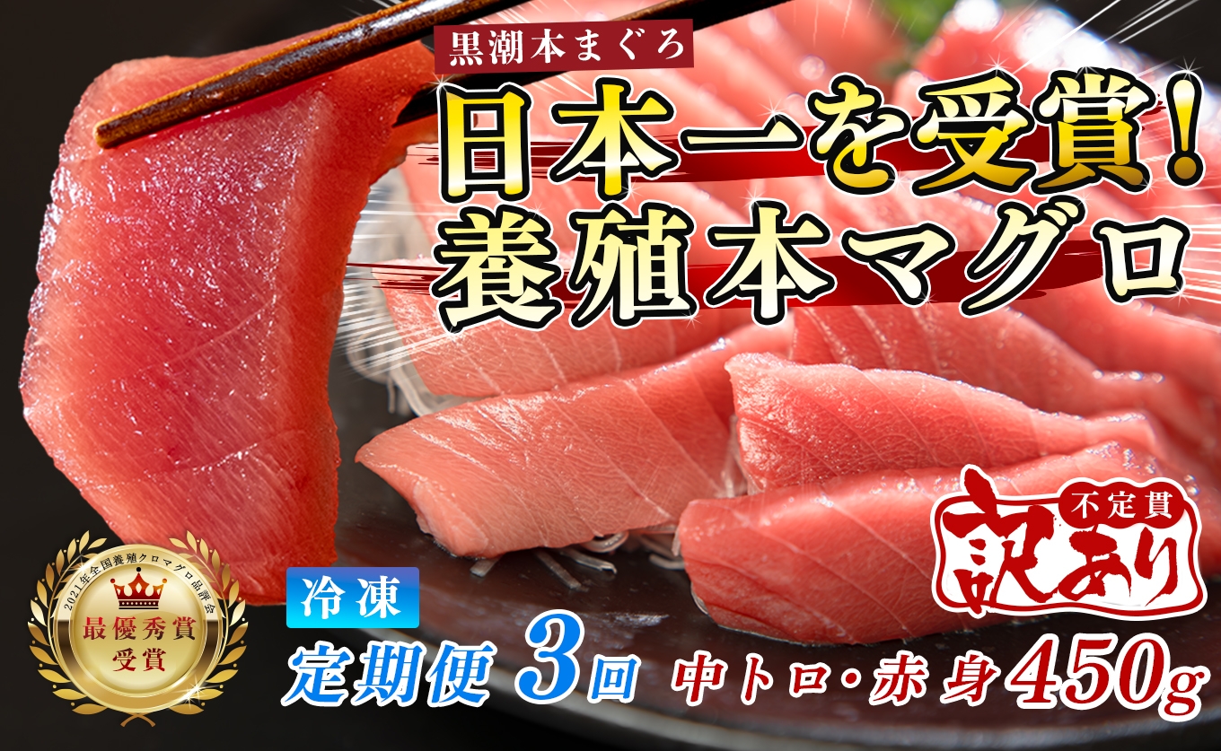 
                  訳あり 不定貫 定期便 3回 国産 養殖本マグロ 中トロ・赤身 2種 毎回計450g×3回 黒潮本まぐろ 全国養殖クロマグロ品評会 最優秀賞受賞 3ヶ月 3か月 柵 刺身用 本マグロ クロマグロ 本鮪 まぐろ 鮪 お刺身 さしみ 中トロ トロ 赤身 海鮮丼 漬け丼 手巻き寿司 鉄火丼 まぐろ丼 小分け 個包装 真空パック 冷凍 不揃い 家庭用 海鮮 年末年始 高知県 大月町 5万円
                