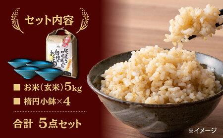 【令和5年産：玄米】 特別栽培米 コシヒカリ （5kg） + 【美濃焼】 青輝貫入 楕円小鉢 （4枚） 【山松加藤松治郎商店】[TEU044]