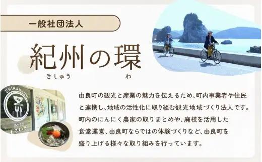 にんにく 秀品　由良の生にんにく 500g / ニンニク 生ニンニク ガーリック ※2027年4月下旬より順次発送【ksnw003】 