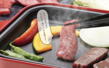 瀬戸の姫 300g（焼肉用） 牛肉 肉