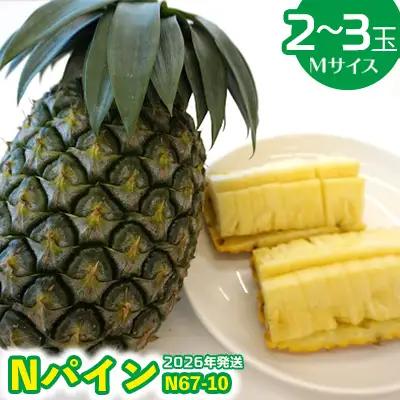 2026年発送【羽地の駅】Nパイン(N67-10)2～3玉（Mサイズ）2.5kg以上 沖縄 おきなわ 国産 県産 フルーツ 厳選 こだわり とろける くだもの あまい 魅力 お土産 N67-10 果物 取り寄せ ご当地 やんばる 南国 トロピカル 夏