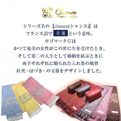 ふるさと納税 鹿児島市 CHANCE(シャンス)大島紬ストール(2)ブルー　K054-001_2 |  | 02
