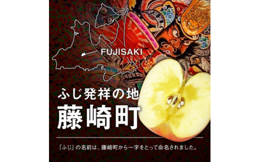 〈令和6年産先行予約〉産地直送　葉とらずサンふじ　訳あり　約4kg【1428763】