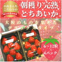 【ふるさと納税】【12月中旬から順次発送】小島さんちのとちあいか デラックス4パック(1パック 6～12粒)【配送不可地域：離島】【1372201】