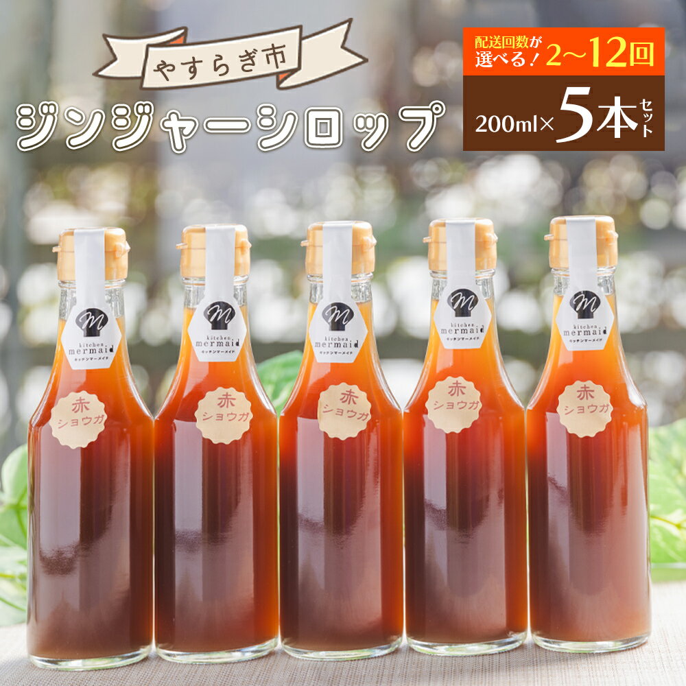 【ふるさと納税】【定期便】ジンジャーシロップ 200ml×5本 選べる定期回数：2回/3回/4回/6回/12回 - 赤生姜 ショウガ あか しょうが 贈り物 おすそ分け 特産品 ジンジャーエール 料理 調味料 手作りドリンク お菓子 御歳暮 やすらぎ市 高知県 香南市【常温】
