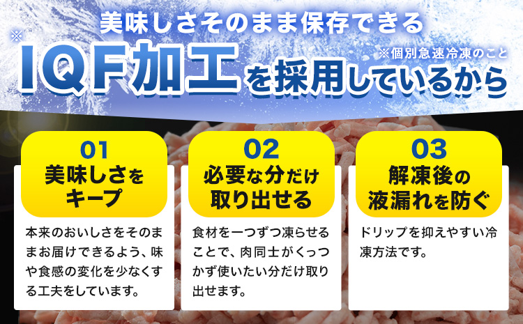 豚 ひき肉 茨城県産 3kg 300gパック 協同農産 《90日以内に出荷予定(土日祝除く)》 肉 豚肉 ミンチ ハンバーグ 餃子 便利 小分け 茨城県 結城市 【配送不可地域あり】(沖縄・離島)