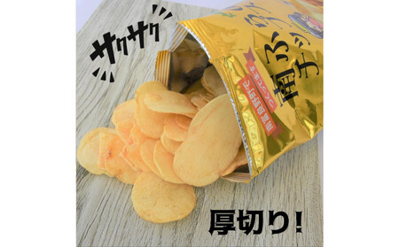 ポテトチップス 北海道 町内道の駅のみ販売中 南ふらのチップス 100g×10袋 うすしお味 厚切り じゃがいも スナック スナック菓子 ポテトチップ うすしお チップス ポテト 芋 菓子 お菓子 お