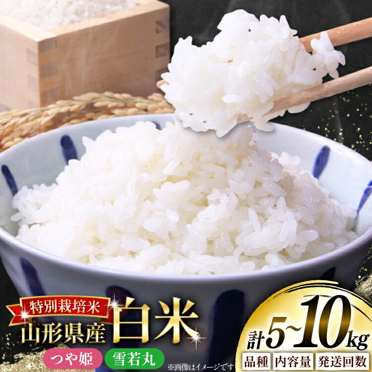 【ふるさと納税】 米 令和7年産 選べる 定期便 品種 内容量 5kg 10kg 3回 6回 雪若丸 つや姫 [本田勇仁 山形県 高畠町 tk06bgj910008] お米 白米 精米 ごはん ご飯 ブランド米 5キロ 10キロ 定期