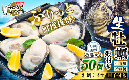 坂越かき 殻付き 50個（牡蠣ナイフ・軍手付き）【2027年1月以降発送予定】／ 牡蠣 かき カキ オイスター サムライオイスター 生牡蠣 魚介 貝 海産物 生食 ギフト 兵庫県 赤穂市