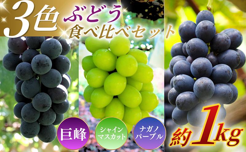 
                  【★先行予約】【訳あり】長野県産 ぶどう3種食べ比べセット（シャインマスカット・ナガノパープル・巨峰）合計約1.1kg 見た目にワケあり 味はそのまま 旬のフルーツ 長野県 上田 信州 [№5312-1652]
                