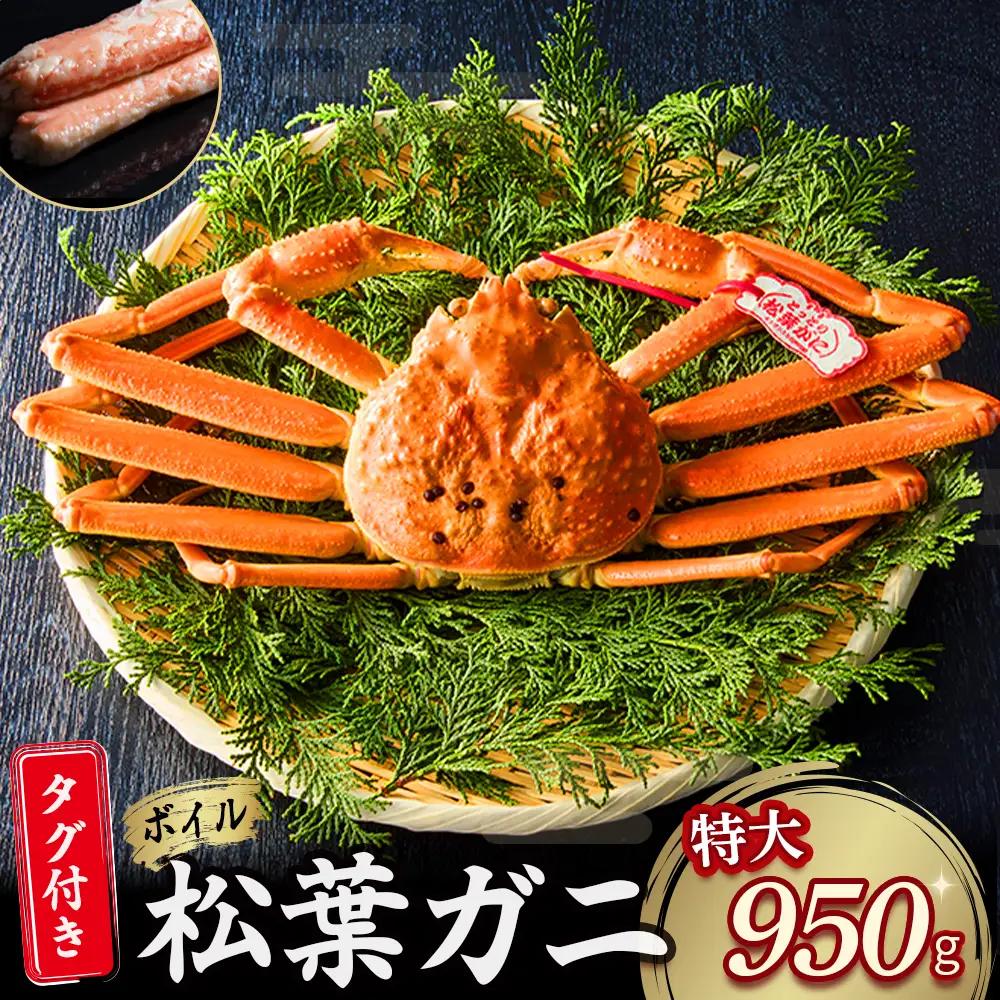 【先行予約】【魚倉】タグ付き ボイル 松葉ガニ （特大950g） かに 蟹 カニ