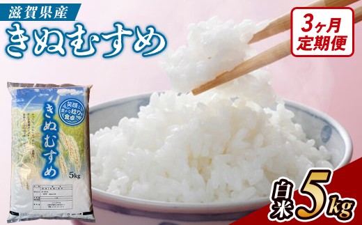 【3ヶ月定期便】【令和7年産】近江米きぬむすめ白米5kg 米 定期便  5kg 3回 産地直送 キヌムスメ (173433-40043422)