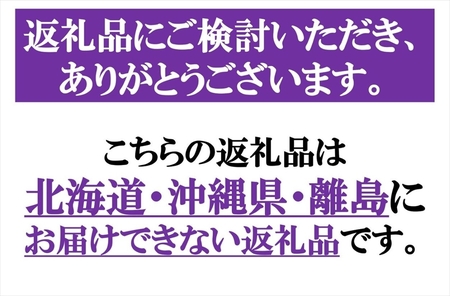 長野県産プルーン『サンプルーン』 家庭用 約1.6kg（400g×4）〈2025年9月出荷／北海島・沖縄・離島は配送不可〉信州 果物 旬彩 先行予約 期間限定 国産 【 フルーツ 長野県 佐久市 】