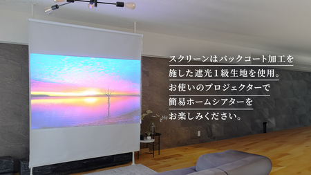 TOSO Naivis つっぱりポール 遮光スクリーン間仕切セット 180cm×220cm つっぱりポール＆ロールスクリーンですっきり間仕切！映写スクリーンにも！ ホワイト 935942