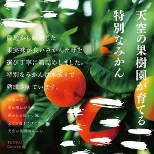 【訳あり】天空の果樹園から届く そらせとか(4kg)【C45-81】【1433959】